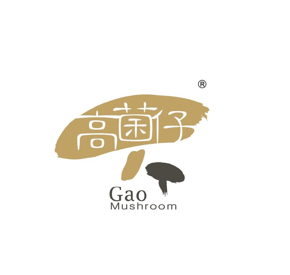宁波企业logo设计_企业logo设计价格_企业logo设计
